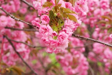 南通海安线下个人借款平台一站式服务，轻松解决资金难题