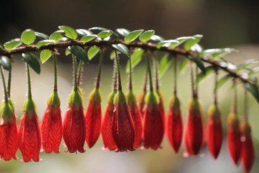 南通海安零用贷短借：轻松解决临时资金需求