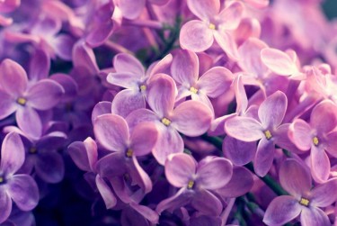 南通海安企业急用钱贷款攻略：快速融资解燃眉之急